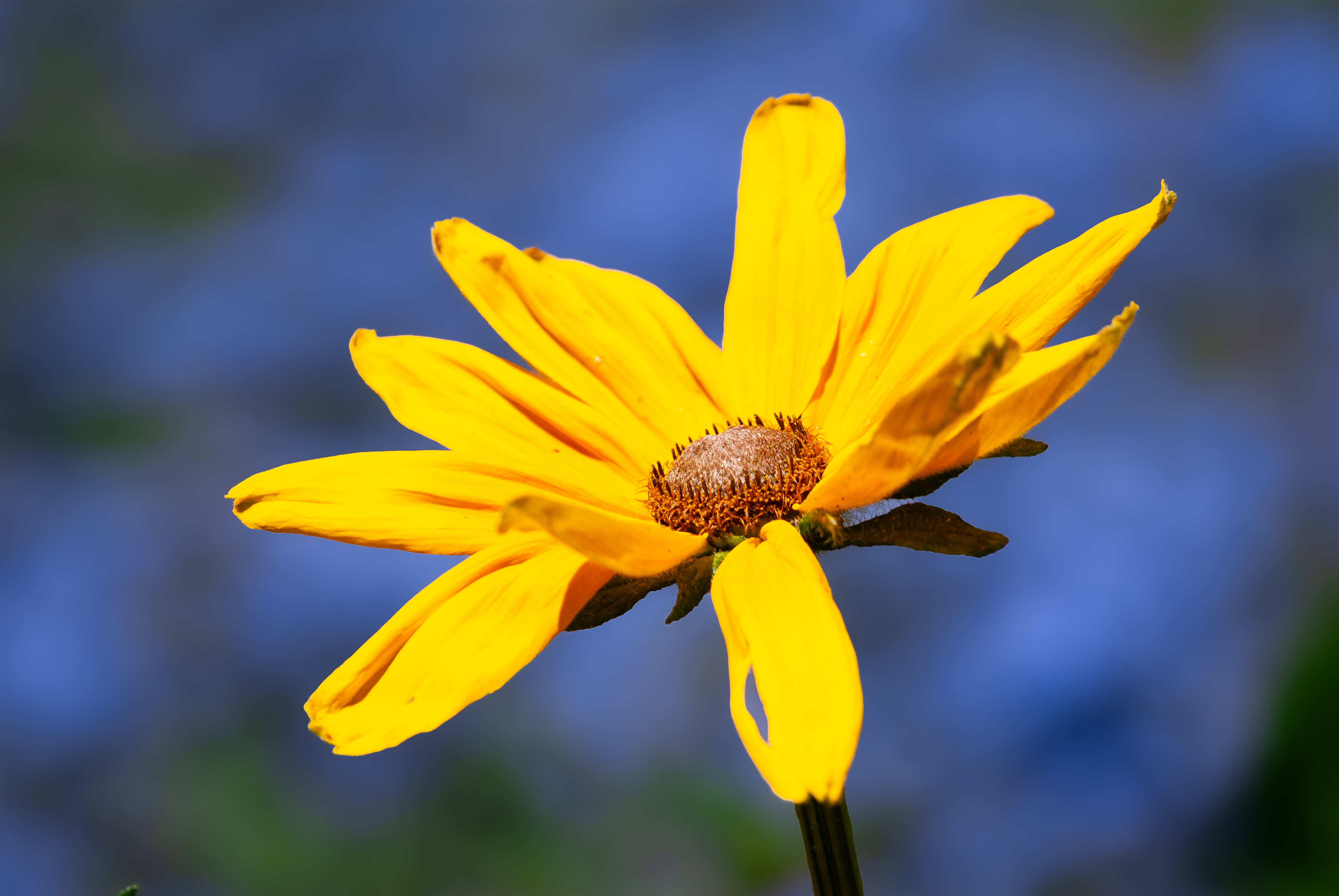 Ausflug Aying - 02369